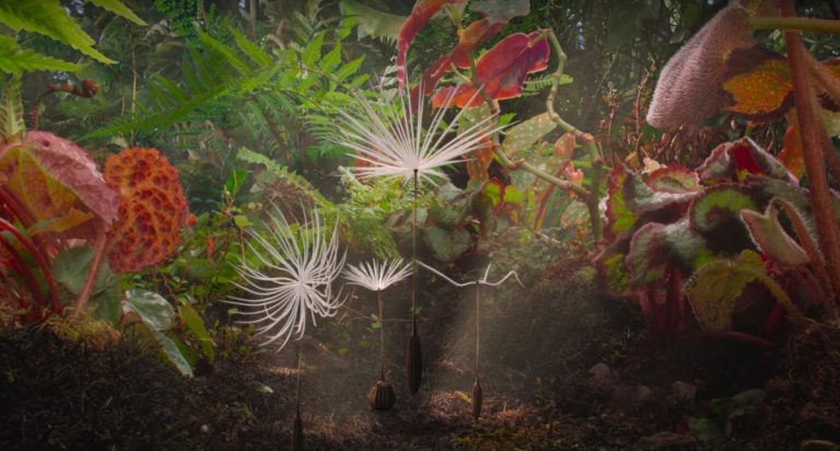 Read more about the article Peste 120 de realizatori prezenți și 375 de filme în programul complet al ediției aniversare Animest