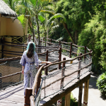 Andreea Verde: Despre ezitare