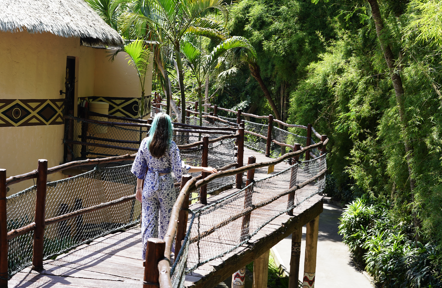 You are currently viewing Andreea Verde: Despre ezitare